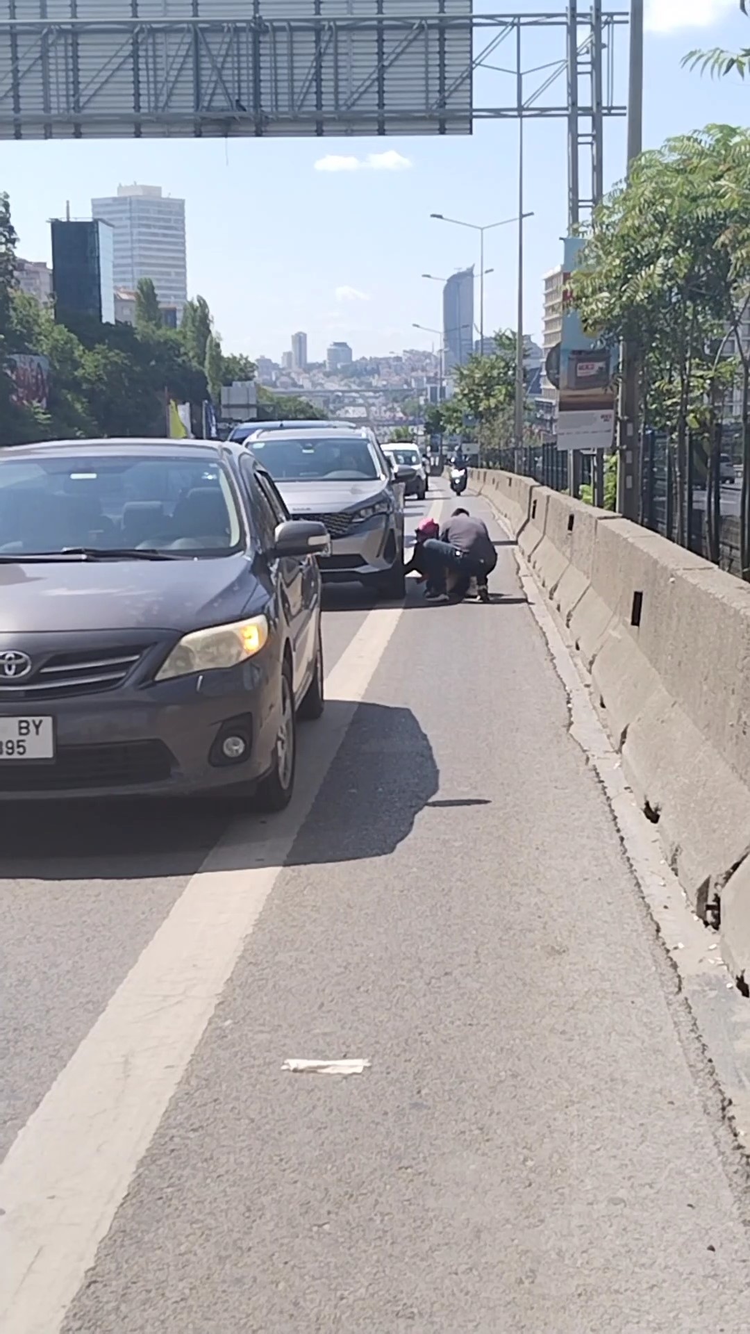 kadikoy yavru kedi