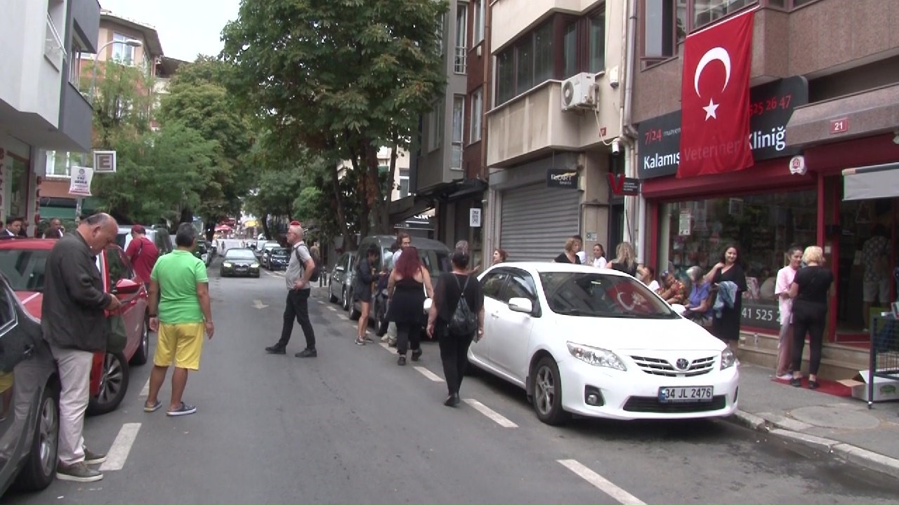 Kadıköy'de birçok mahallede 15'ten fazla kedi zehirlenerek öldürüldü. Mahallelinin tepki gösterdiği olaya ilişkin soruşturma başlatıldı.