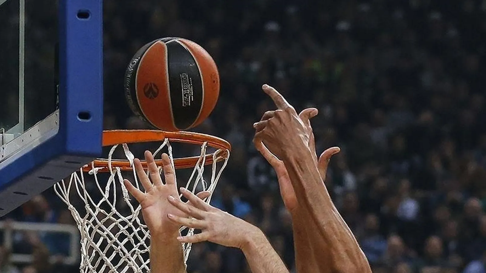 Fenerbahçe Beko Basketbol Takımı, THY Avrupa Ligi'nin 7. haftasında yarın Partizan'ı konuk edecek.