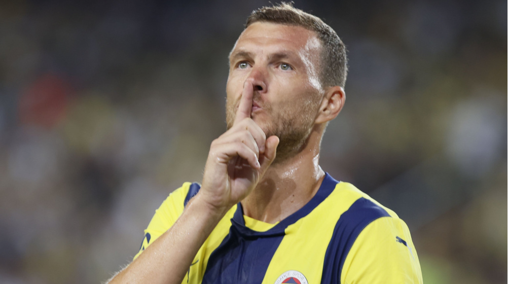 edin dzeko fenerbahce